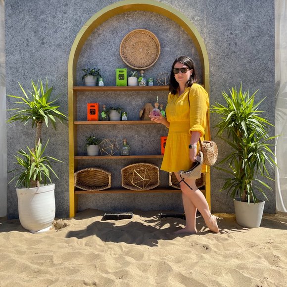 rag & bone Calista Chiffon Minidress, Size M - Picture 2 of 5